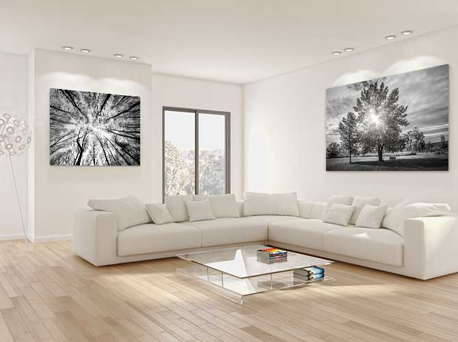 Scandinavian Interior Design - Trees - Black and White