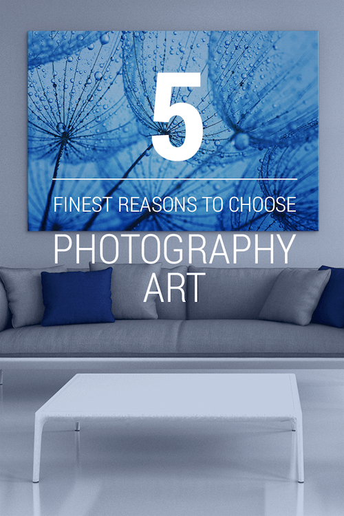 Five Finest Reasons To Choose Photography Art