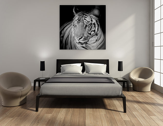 Black And White Photos - Tiger