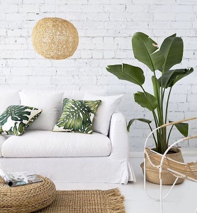 Room Design Ideas - White And Greenery Plants