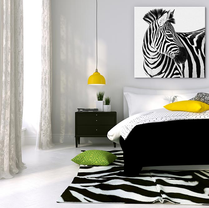 What Is Interior Design - Zebra