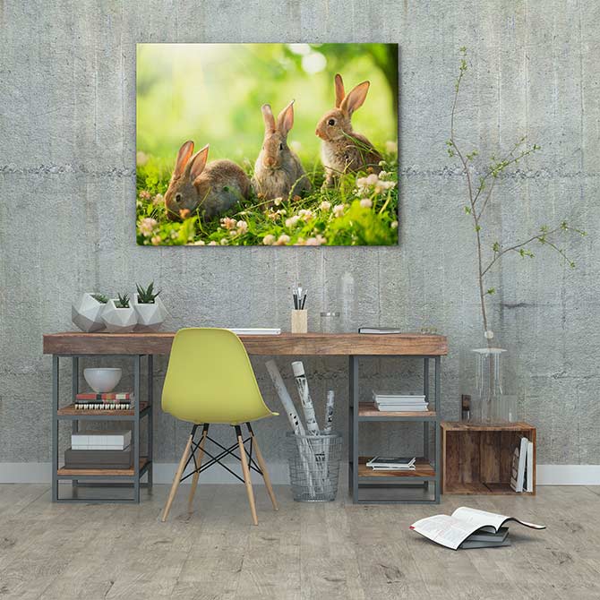Easter art - Three cute bunnies in a sunny field