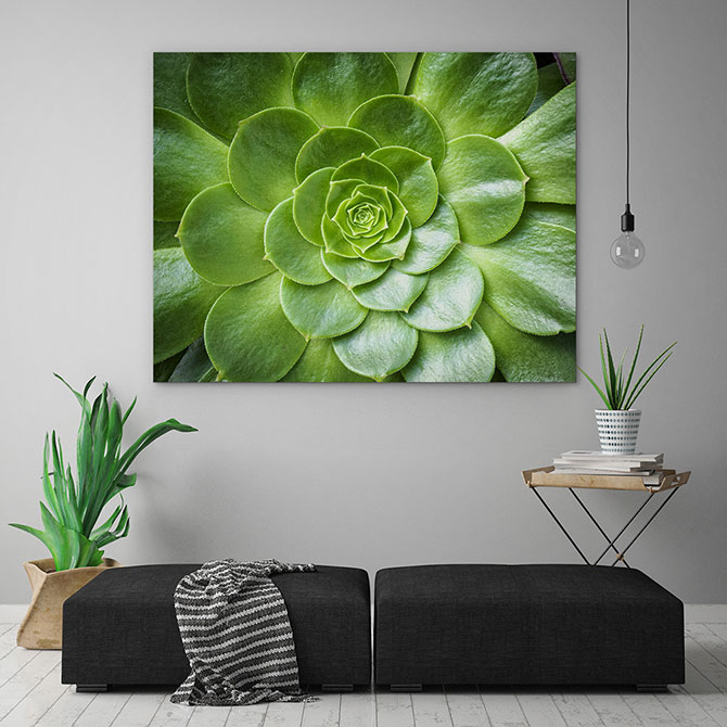 interior design ideas with plants