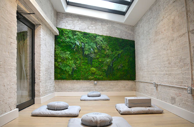 meditation room vertical garden